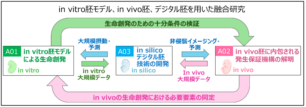 図1.png